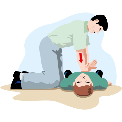 Adult Basic Life Support